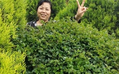 男女在线观看啪网站